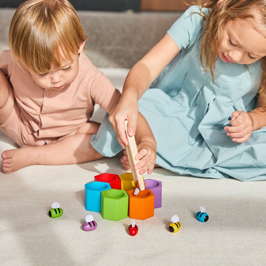 PlanToys Beehives