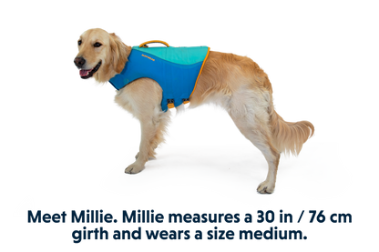 Float Coat™ Dog Life Jacket