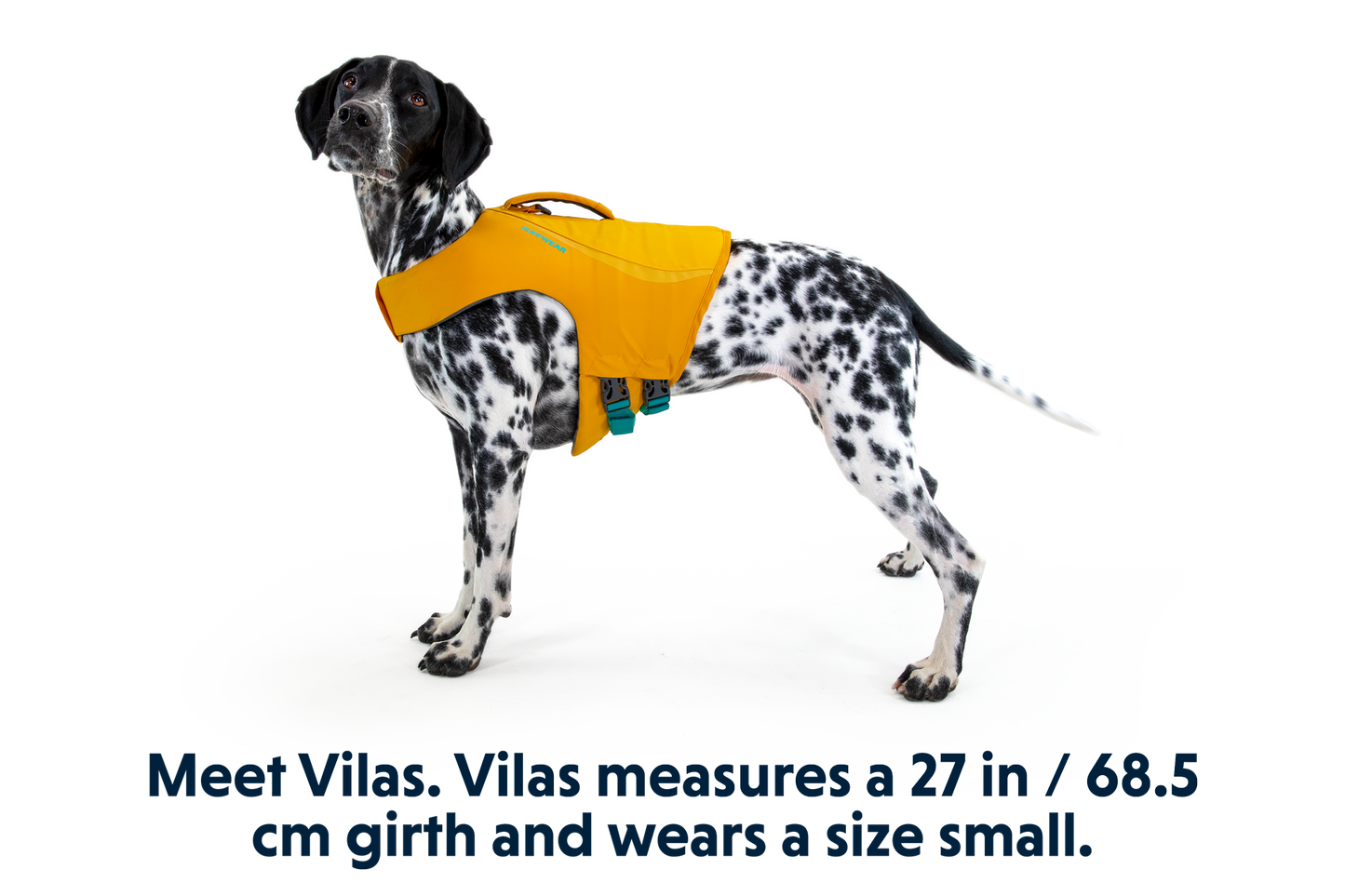 Float Coat™ Dog Life Jacket