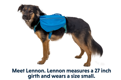 Approach™ Dog Backpack