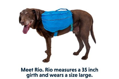 Approach™ Dog Backpack