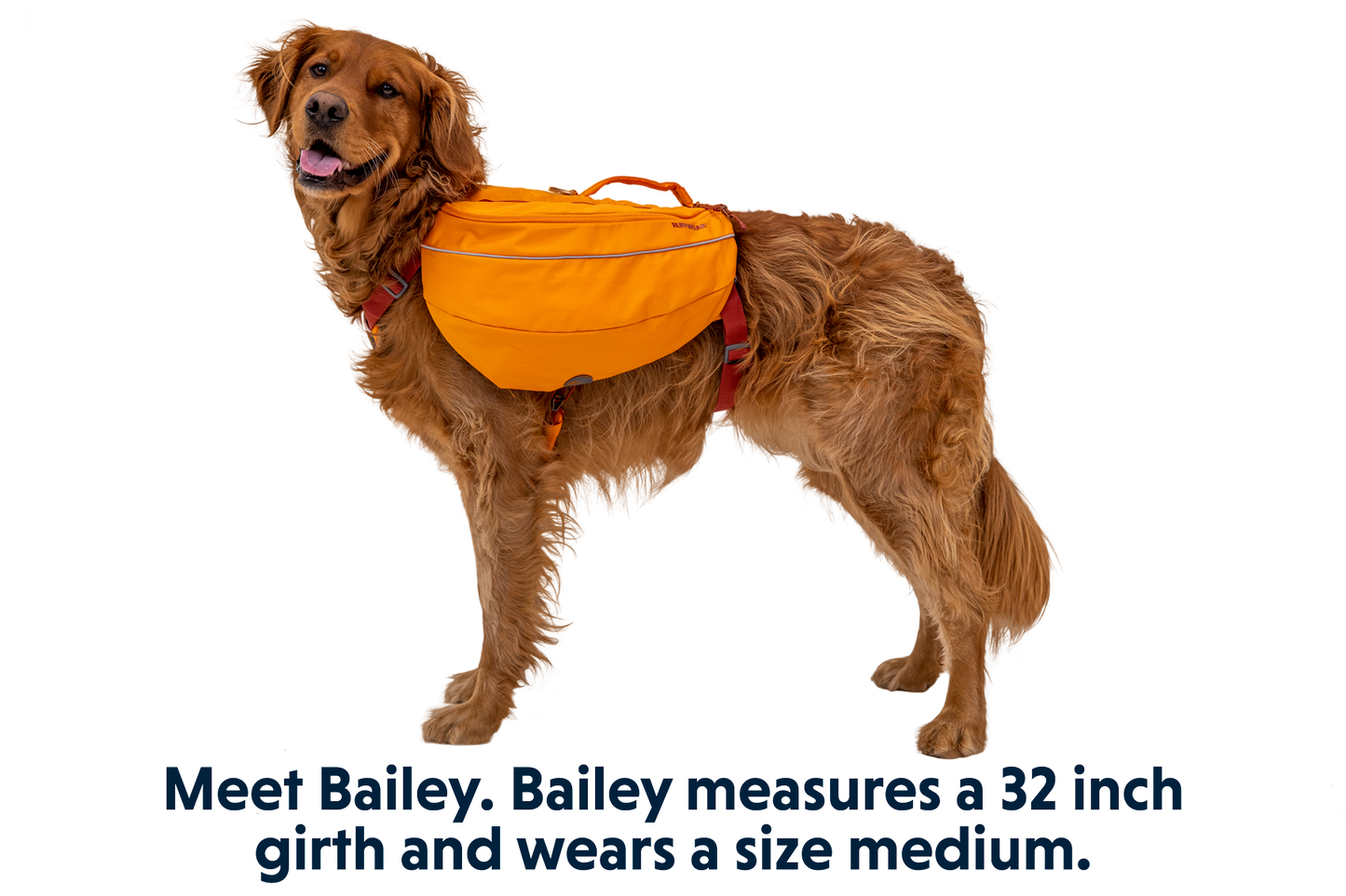 Approach™ Dog Backpack