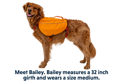 Approach™ Dog Backpack