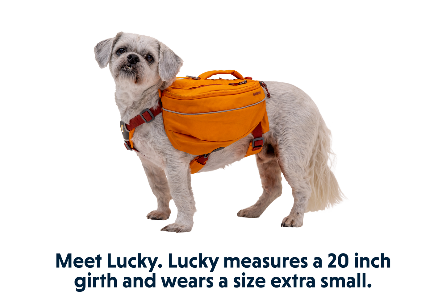 Approach™ Dog Backpack