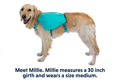 Front Range™ Day Pack
