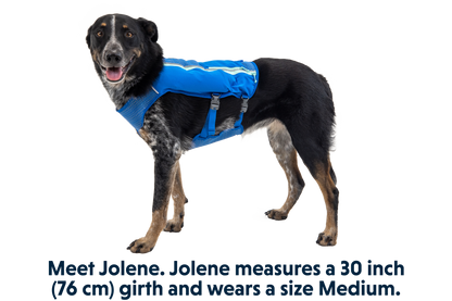 Trail Runner™ Dog Running Vest