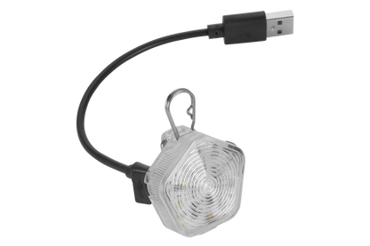 The Beacon™ Dog Safety Light