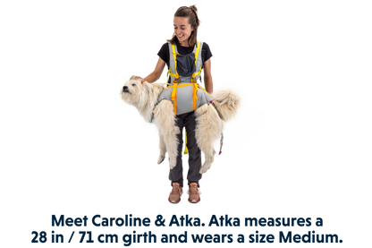 BackTrak™ Dog Evacuation Kit