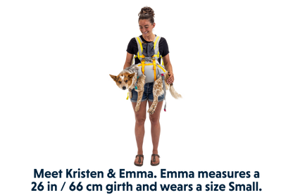 BackTrak™ Dog Evacuation Kit