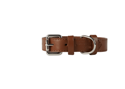 Baker & Bray Sustainable Designer Leather Dog Collar & Lead Set | Brown