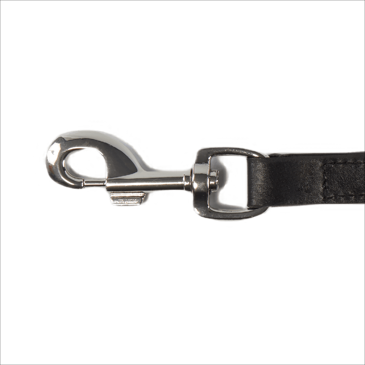 Baker & Bray Sustainable Designer Leather Dog Lead | Black