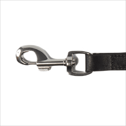 Baker & Bray Sustainable Designer Leather Dog Lead | Black