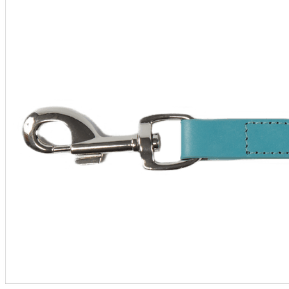 Baker & Bray Sustainable Designer Leather Dog Lead | Lagoon