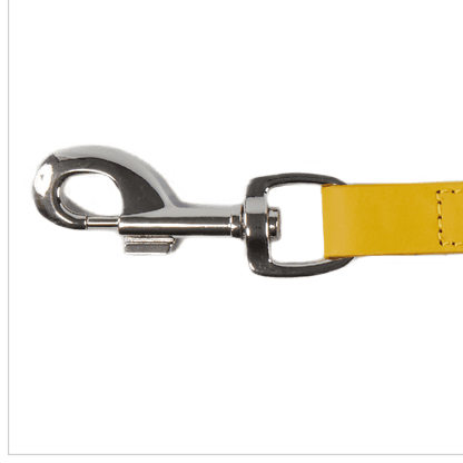 Baker & Bray Sustainable Designer Leather Dog Lead | Lemon