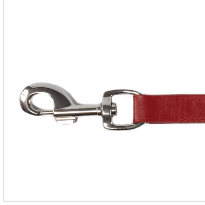 Baker & Bray Sustainable Designer Leather Dog Lead | Rose