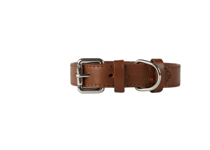 Baker & Bray Sustainable Leather Dog Collar | Brown