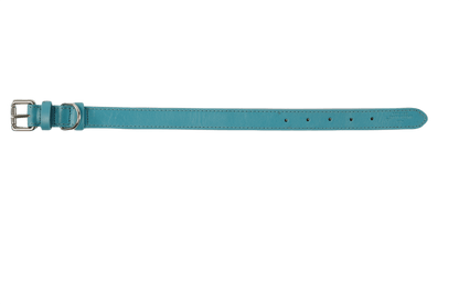 Baker & Bray Sustainable Leather Dog Collar | Lagoon