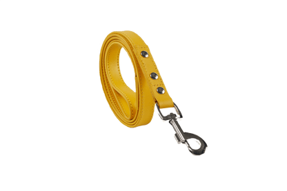 Baker & Bray Sustainable Leather Dog Collar & Lead Set | Lemon