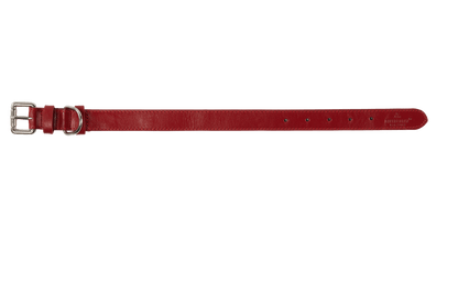 Baker & Bray Sustainable Leather Dog Collar | Rose