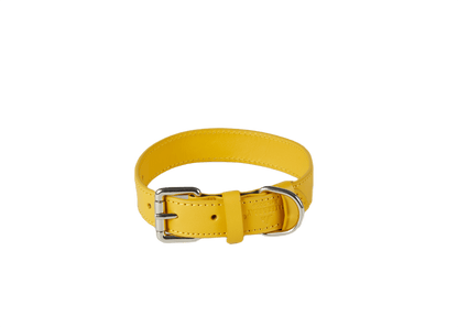 Barker & Bray Sustainable Leather Dog Collar | Lemon