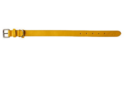Barker & Bray Sustainable Leather Dog Collar | Lemon