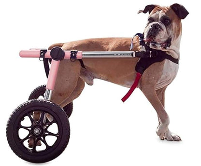Walkin Wheels® MEDIUM Rear Dog Wheelchair (11 to 30kg)