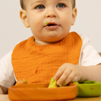 Oli&Carol Cathy the Carrot Feeding Bib