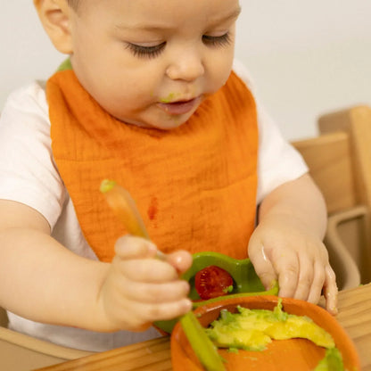 Oli&Carol Cathy the Carrot Feeding Bib