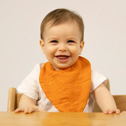 Oli&Carol Cathy the Carrot Feeding Bib