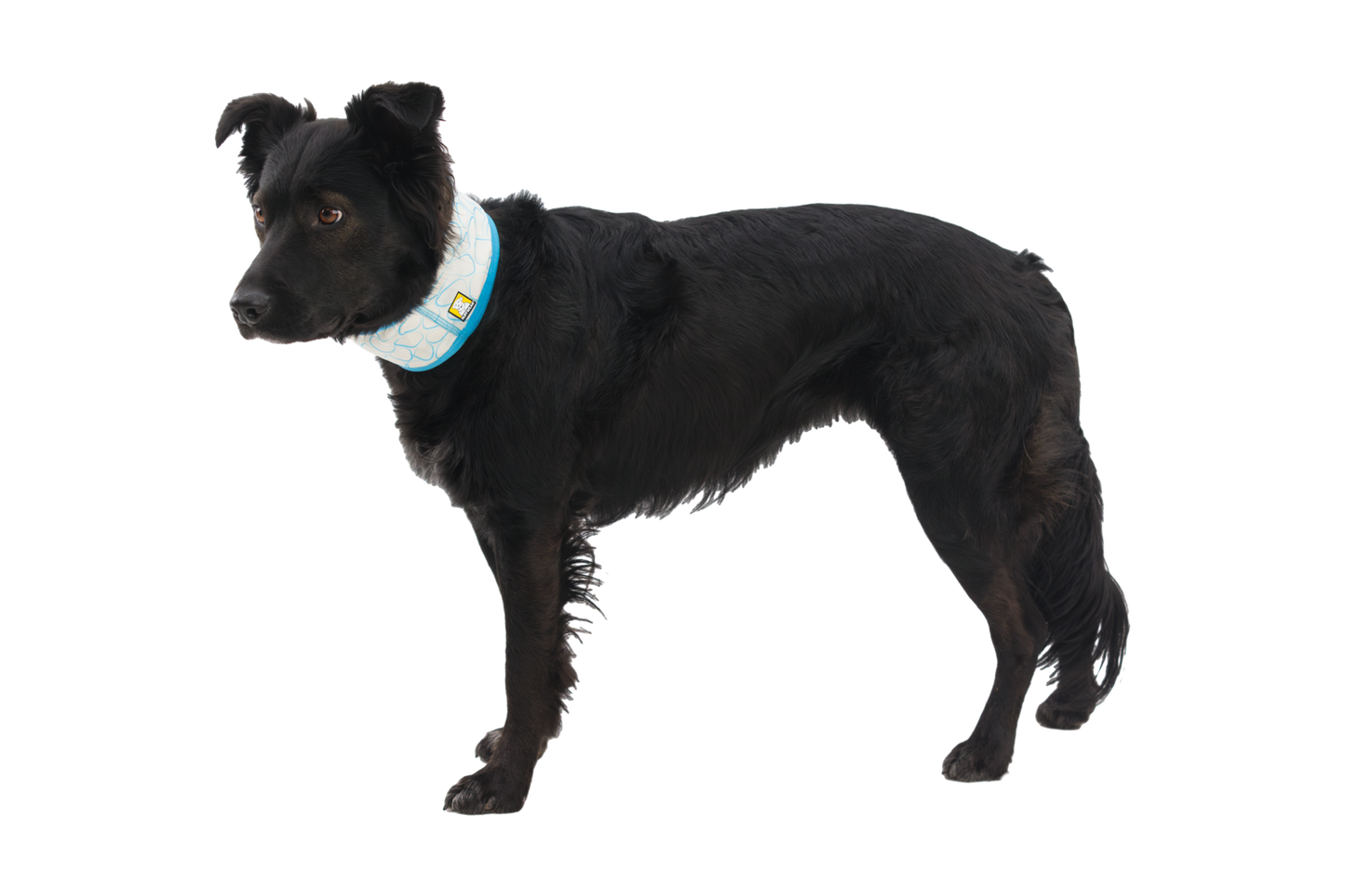 Swamp Cooler™ Cooling Neck Gaiter