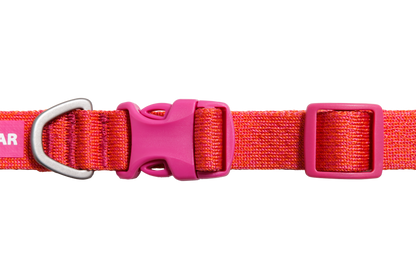 Front Range™ Flex Collar