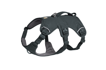Web Master™ Dog Harness with Handle