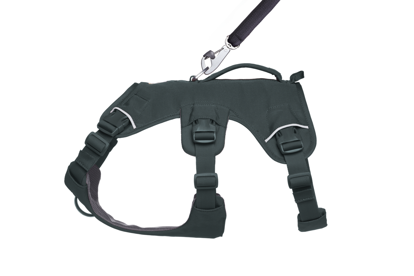 Web Master™ Dog Harness with Handle