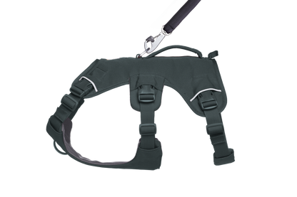 Web Master™ Dog Harness with Handle
