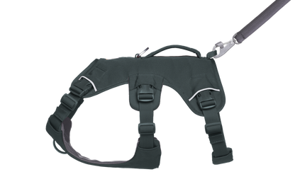 Web Master™ Dog Harness with Handle