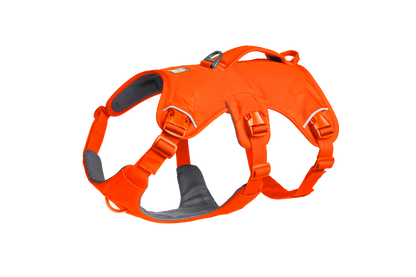 Web Master™ Dog Harness with Handle
