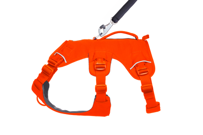 Web Master™ Dog Harness with Handle