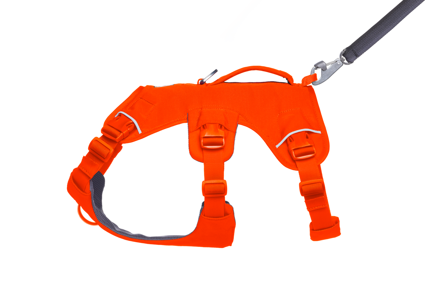 Web Master™ Dog Harness with Handle