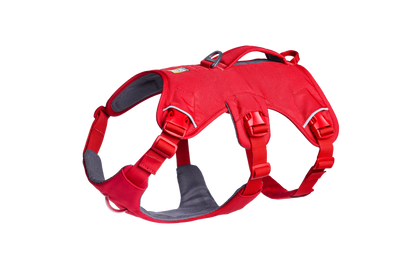Web Master™ Dog Harness with Handle