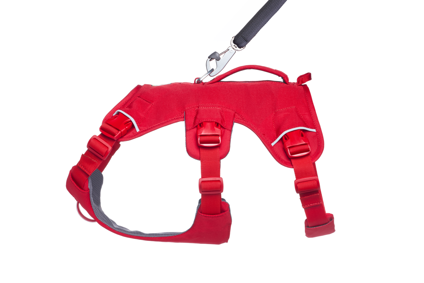 Web Master™ Dog Harness with Handle