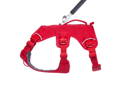 Web Master™ Dog Harness with Handle