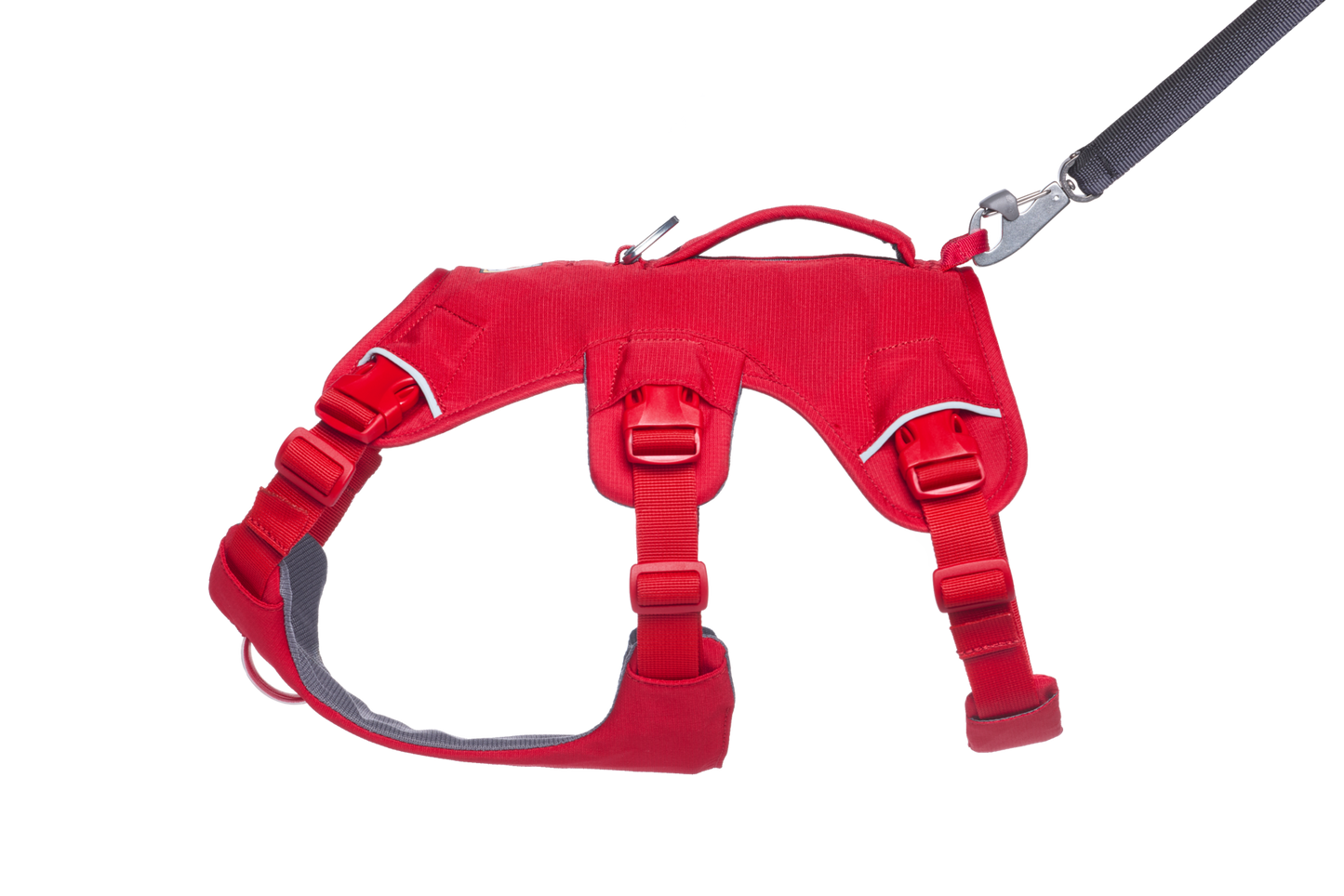 Web Master™ Dog Harness with Handle