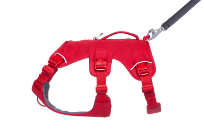 Web Master™ Dog Harness with Handle