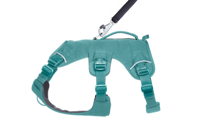 Web Master™ Dog Harness with Handle