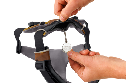 Front Range® Dog Harness