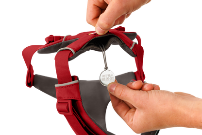 Front Range® Dog Harness