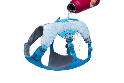 Swamp Cooler™ Dog Cooling Harness