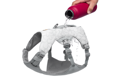 Swamp Cooler™ Dog Cooling Harness