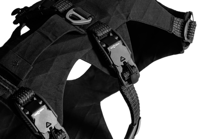 Ridgeline™ Harness