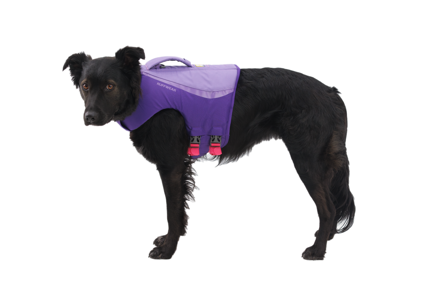 Float Coat™ Dog Life Jacket